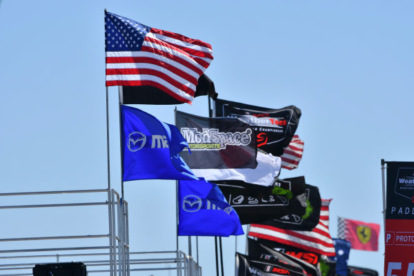 2017 IMSA WeatherTech SportsCar Championship
Mobil 1 Twelve Hours of Sebring
Sebring International Raceway, Sebring, FL USA
Thursday 16 March 2017
Flags
World Copyright: Richard Dole/LAT Images
ref: Digital Image RD_217_SEB13