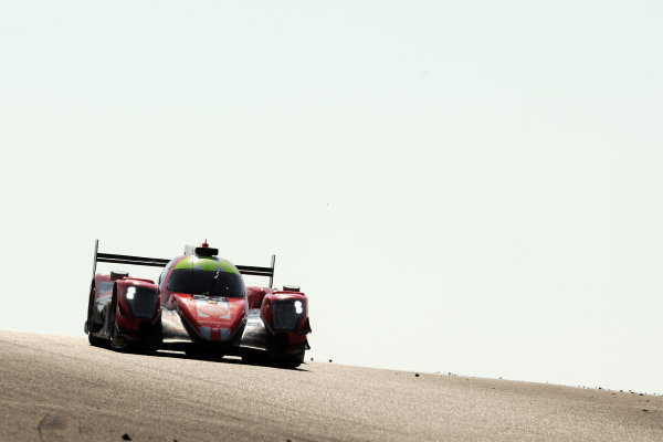 2017 FIA World Endurance Championship,
COTA, Austin, Texas, USA. 14th-16th September 2017,
#24 CEFC Manor TRS Team China ORECA 07-Gibson: Matt Rao /  Ben Hanley / Jean-Eric Vergne  
World Copyright. May/JEP/LAT Images 