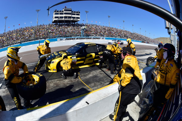 2017 Monster Energy NASCAR Cup Series
Camping World 500
Phoenix International Raceway, Avondale, AZ USA
Sunday 19 March 2017
Brad Keselowski
World Copyright: Rusty Jarrett/LAT Images
ref: Digital Image 17PHX1rj_2761 2017 Monster Energy NASCAR Cup Series
Camping World 500
Phoenix International Raceway, Avondale, AZ USA
Sunday 19 March 2017
Brad Keselowski
World Copyright: Rusty Jarrett/LAT Images
ref: Digital Image 17PHX1rj_2761